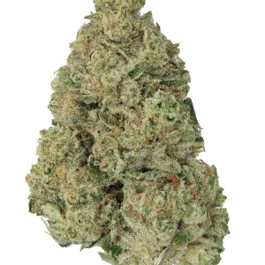 INDOOR GROWN | DEATH STAR 38% THCA
