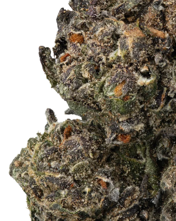 1oz EXOTIC SMALLS | Pick Your Favorite THCA STRAIN - Image 4